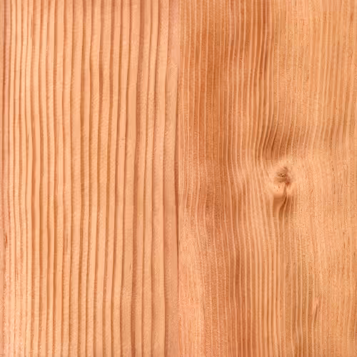 douglas fir