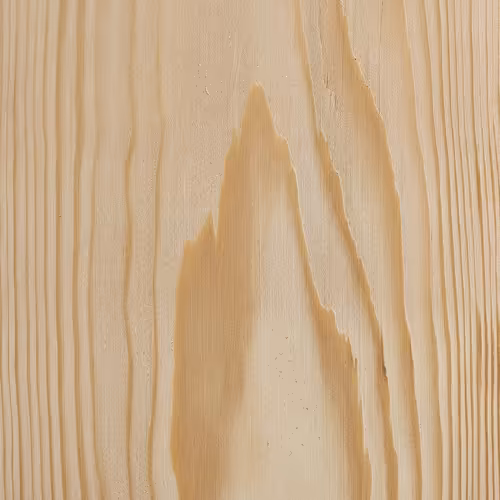 eastern hemlock