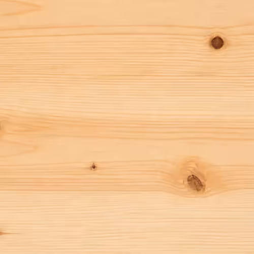 eastern white pine
