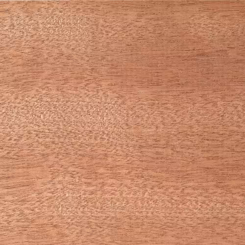 sapele