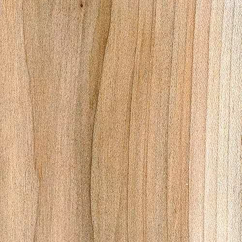 soft maple (red maple)