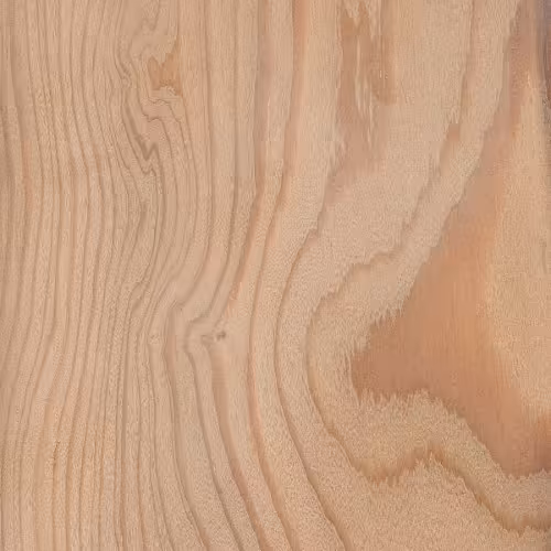 tamarack larch