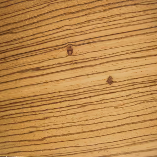 zebrawood