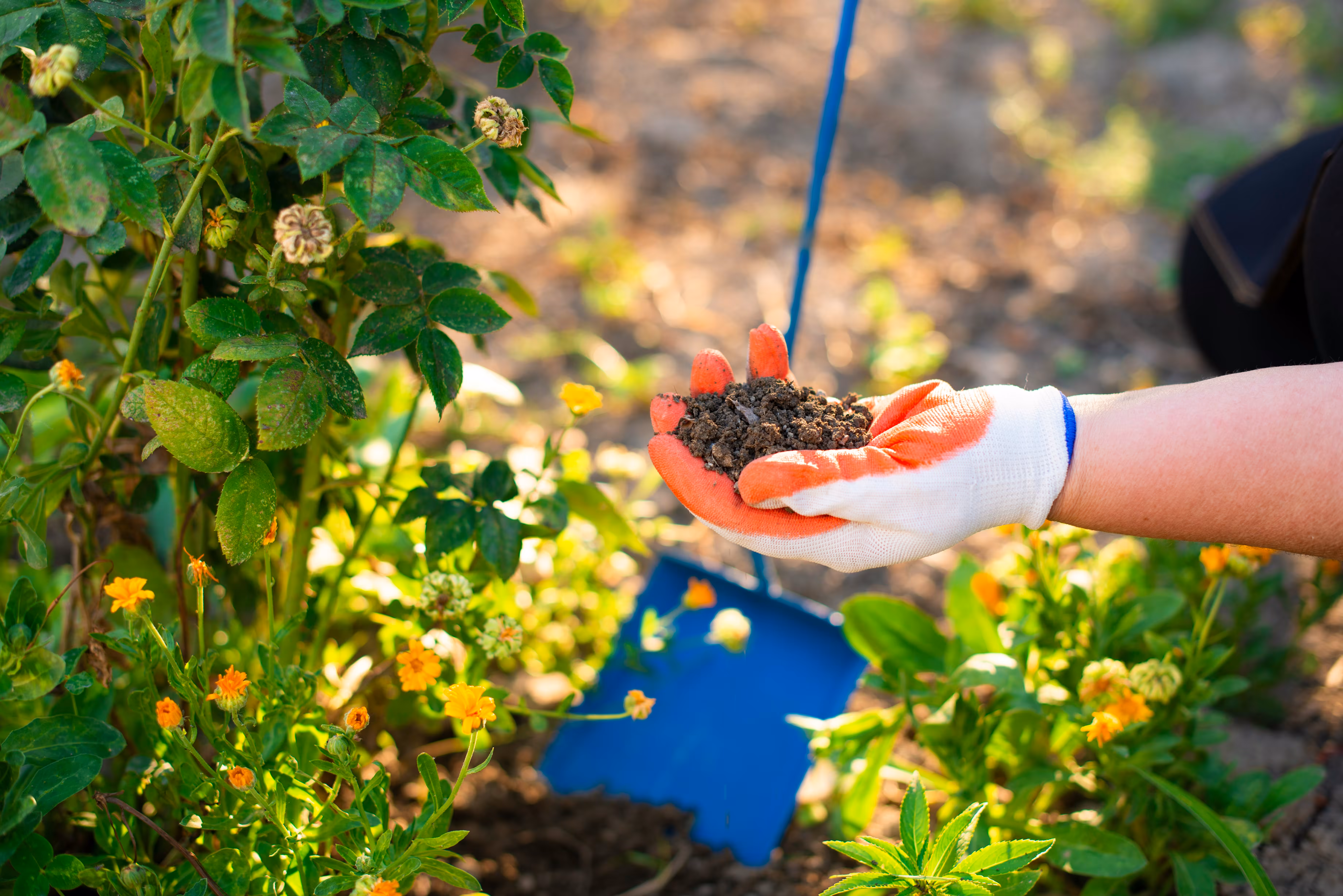 Garden project calculator for soil, mulch and irrigation