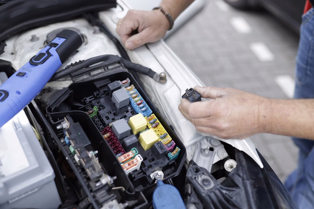 Automotive electronics and wiring reference